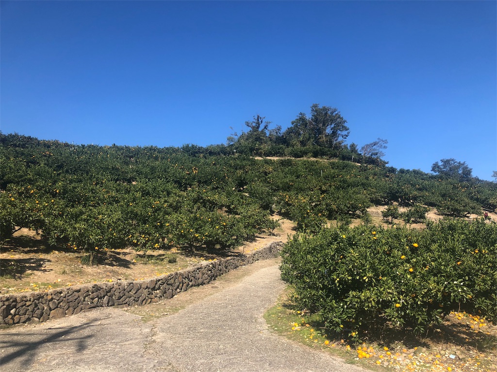 f:id:papa-outdoor:20191106204009j:image f:id:papa-outdoor:20191106204009j:image