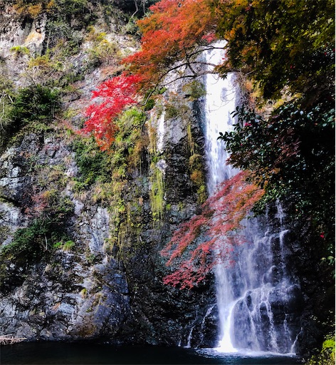 f:id:papa-outdoor:20200129093732j:image f:id:papa-outdoor:20200129093732j:image