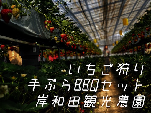 f:id:papa-outdoor:20210222104648j:image f:id:papa-outdoor:20210222104648j:image