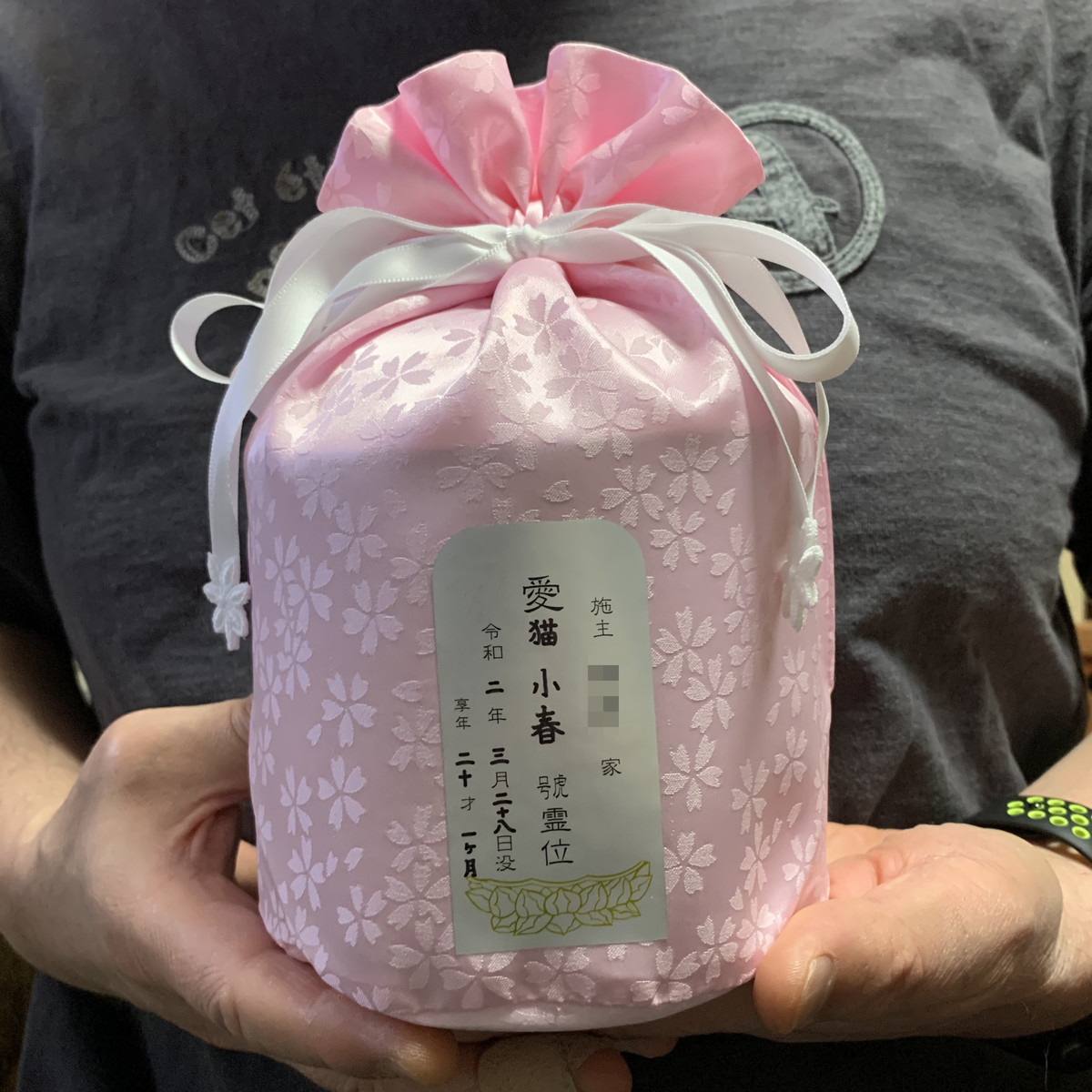 f:id:papa-san:20200329181359j:plain