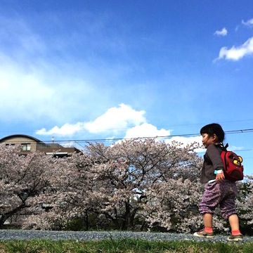 f:id:papa-tomo:20140405140539j:image:w250:left f:id:papa-tomo:20140405140539j:image:w250:left