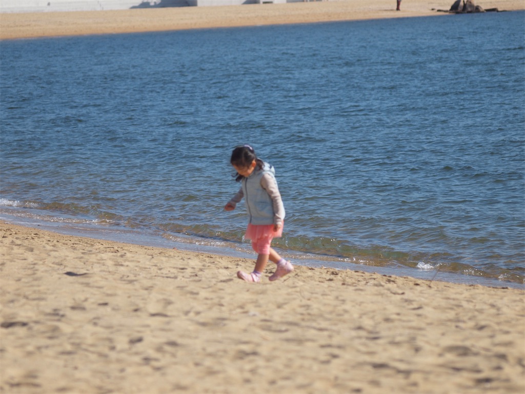 f:id:papa50s:20220104155550j:image f:id:papa50s:20220104155550j:image