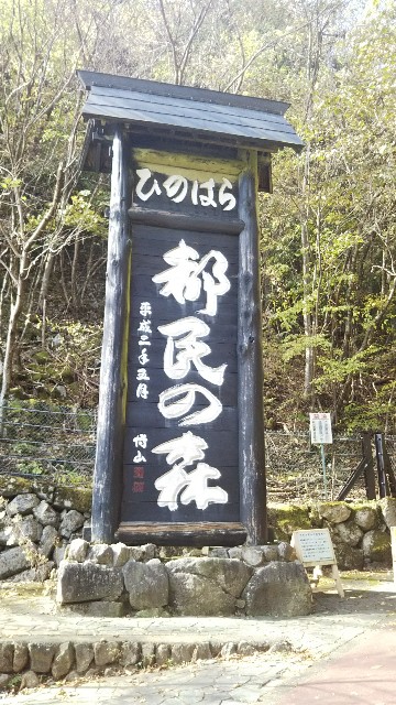 f:id:papacoffee:20191119143447j:image