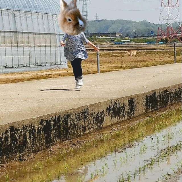 f:id:papaganbalog:20180422181039j:image f:id:papaganbalog:20180422181039j:image