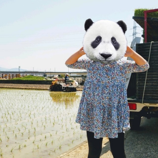 f:id:papaganbalog:20180422181452j:image f:id:papaganbalog:20180422181452j:image