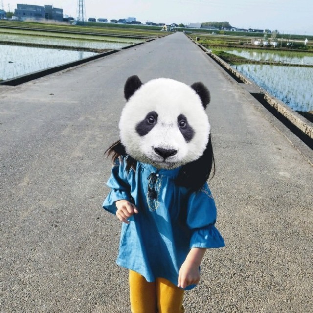 f:id:papaganbalog:20180430174643j:image f:id:papaganbalog:20180430174643j:image