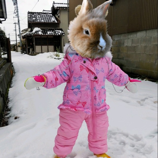 f:id:papaganbalog:20201220221735j:image f:id:papaganbalog:20201220221735j:image