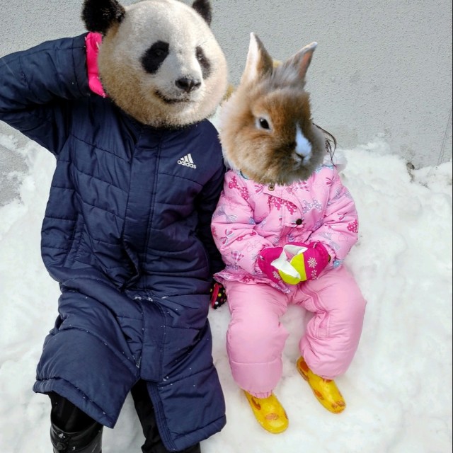 f:id:papaganbalog:20201220223317j:image f:id:papaganbalog:20201220223317j:image