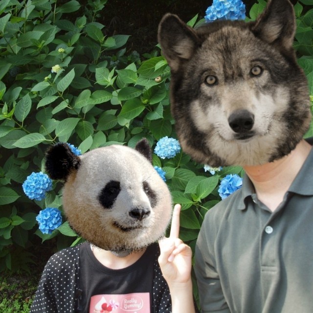 f:id:papaganbalog:20220619125149j:image f:id:papaganbalog:20220619125149j:image