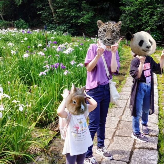 f:id:papaganbalog:20220619125209j:image f:id:papaganbalog:20220619125209j:image
