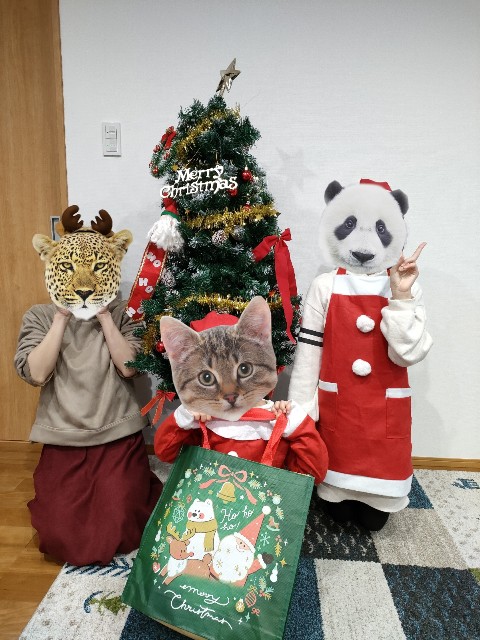 f:id:papaganbalog:20221228020611j:image f:id:papaganbalog:20221228020611j:image