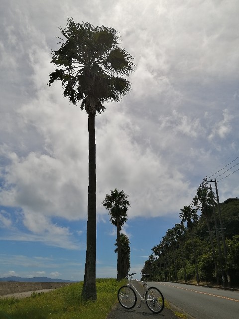 f:id:papagoto:20200819224053j:image f:id:papagoto:20200819224053j:image