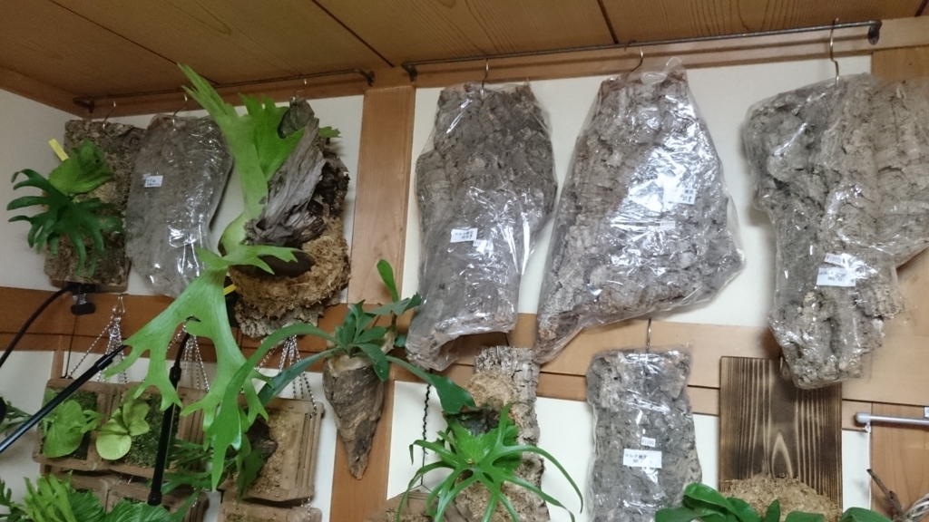 f:id:papagreen:20180131084715j:plain f:id:papagreen:20180131084715j:plain