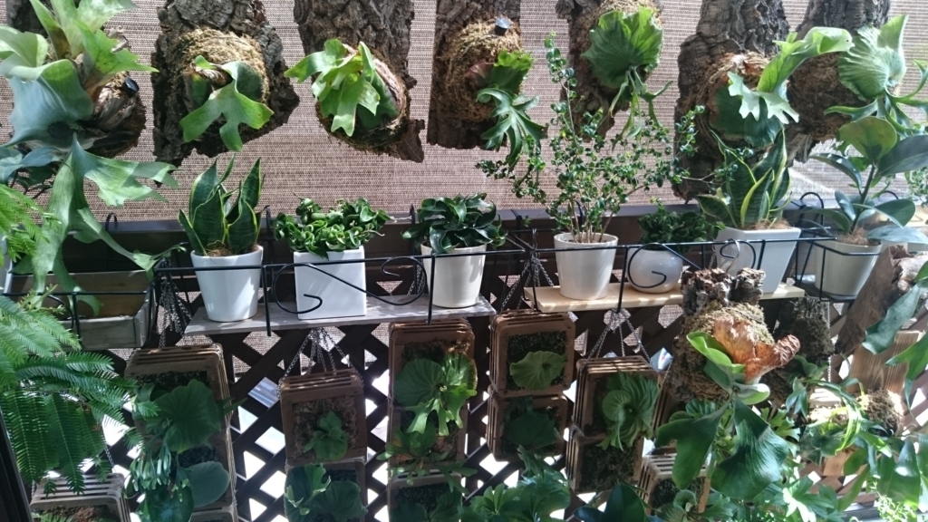 f:id:papagreen:20180514081433j:plain f:id:papagreen:20180514081433j:plain