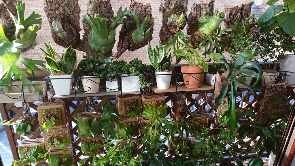 f:id:papagreen:20180917065118j:plain