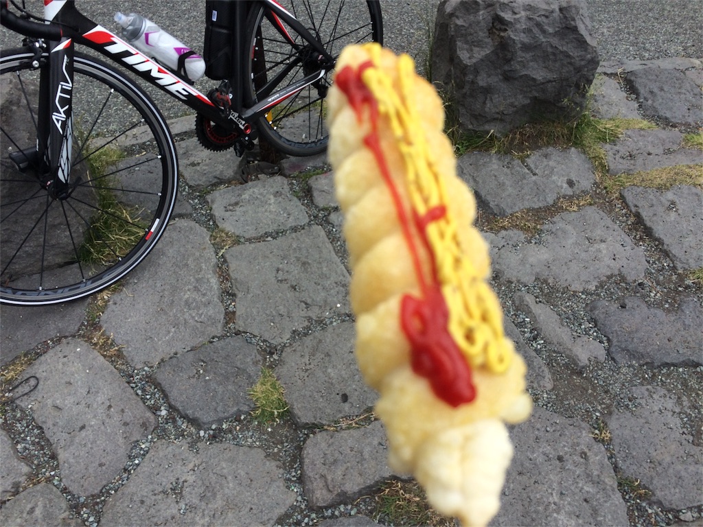 f:id:papaking_ken:20160719230427j:plain