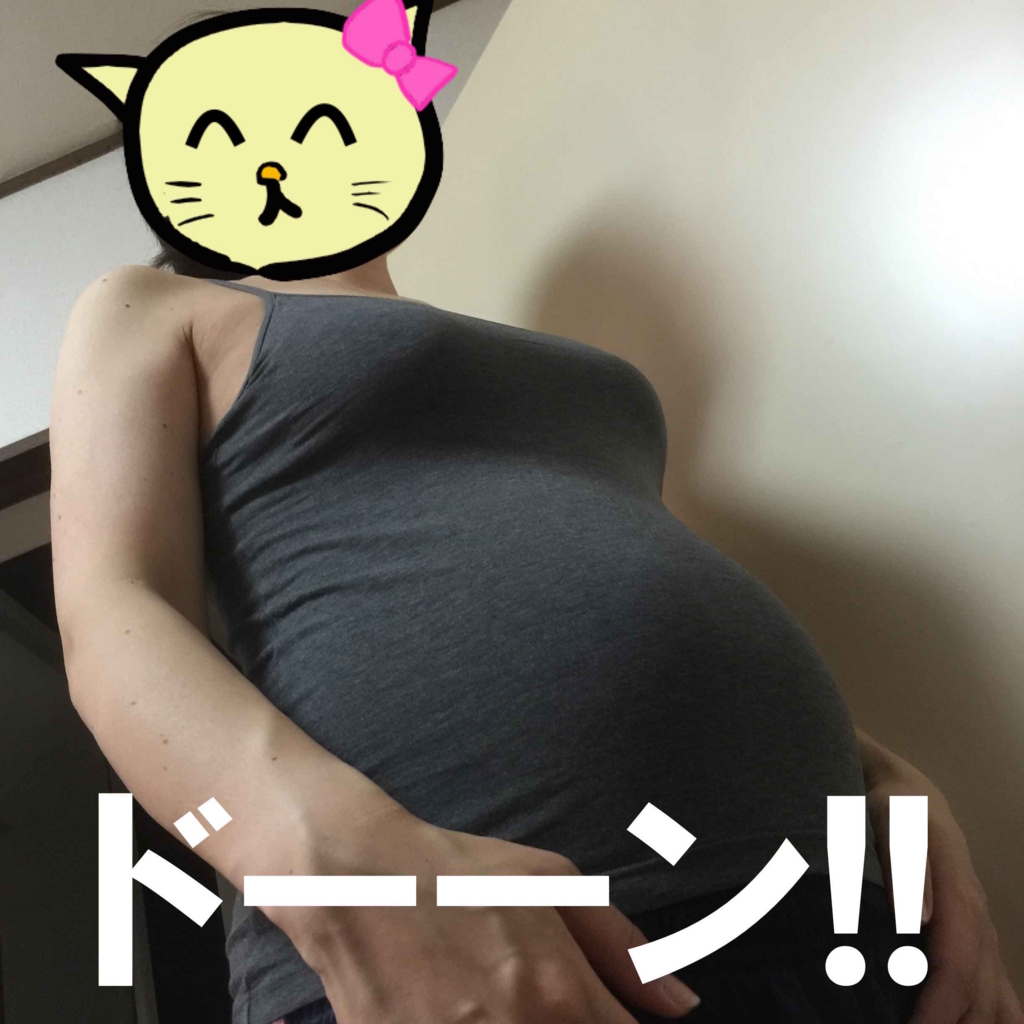 f:id:papamamabu:20160716164817j:plain f:id:papamamabu:20160716164817j:plain