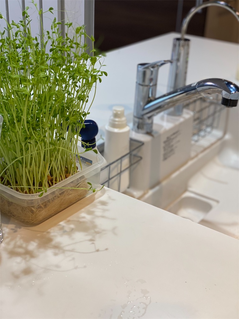 f:id:papamamtabi:20210305142110j:image f:id:papamamtabi:20210305142110j:image