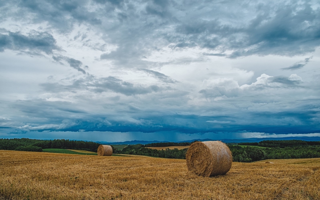 f:id:papandaikuji:20161106034002j:plain