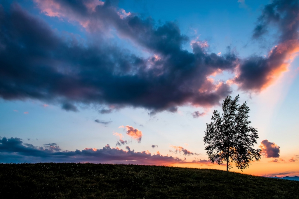 f:id:papandaikuji:20161106034107j:plain