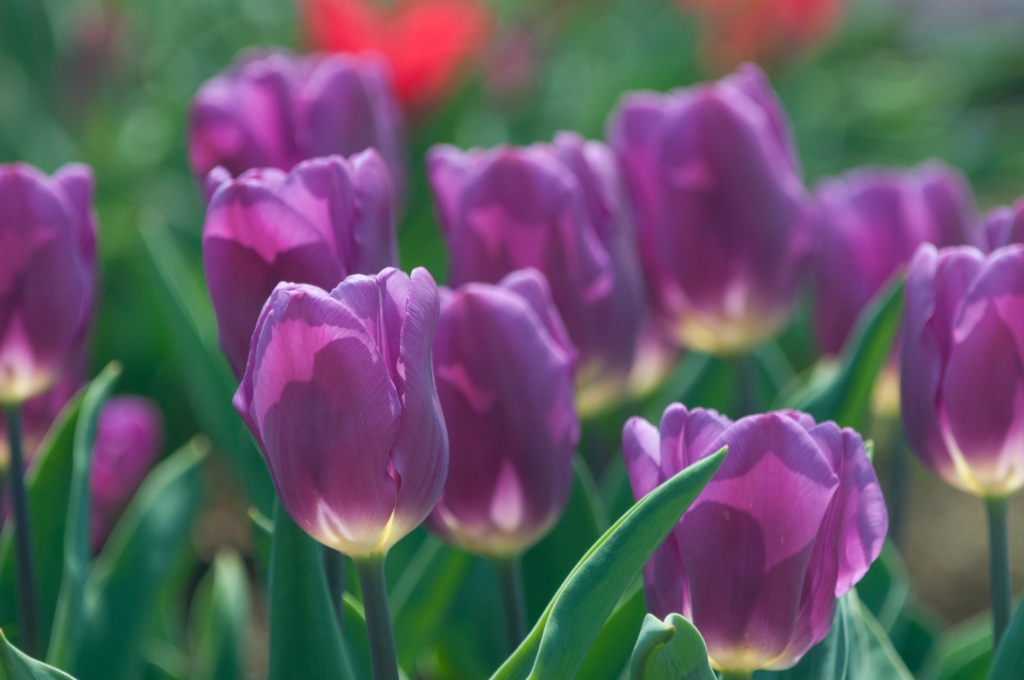 f:id:papandaikuji:20170316010841j:plain