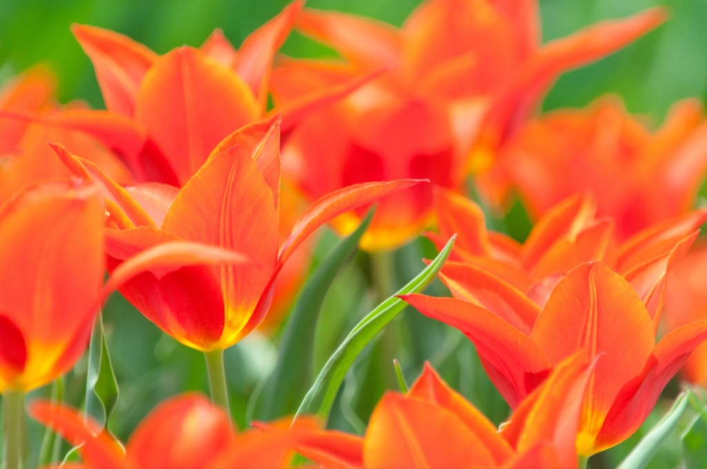 f:id:papandaikuji:20170316010946j:plain