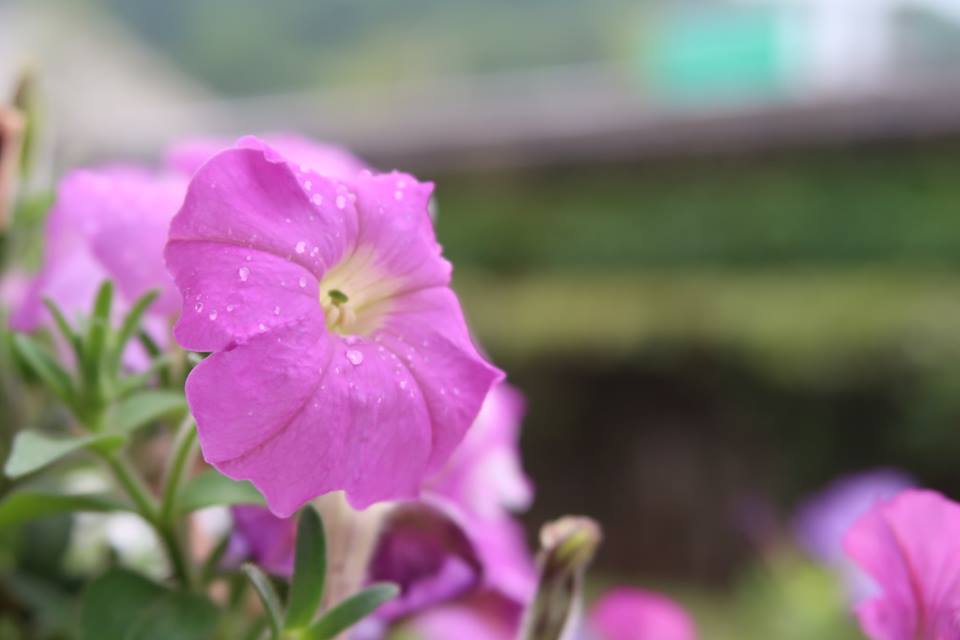 食レポはリアルにこだわり、ハートに突き刺せ。岡山ブログカレッジ( #岡ブロ)第3回目が開催されました。