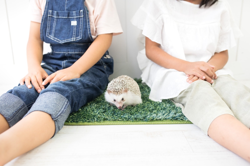 兄弟・兄妹・姉妹で発達障害