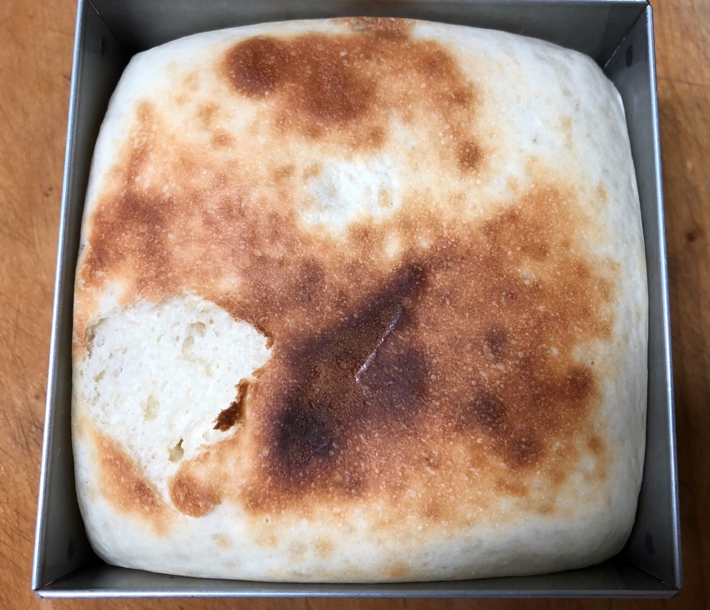 f:id:papapankun:20190224234858j:plain