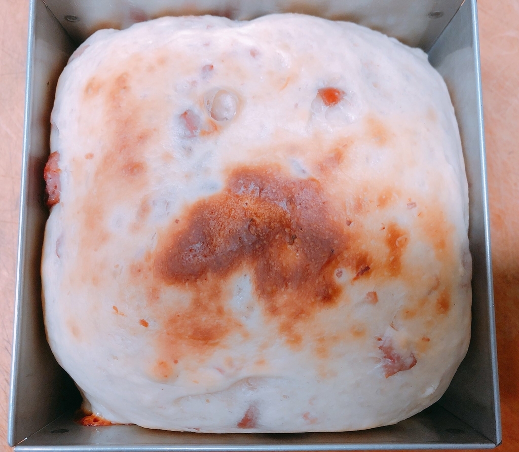f:id:papapankun:20190228232545j:plain