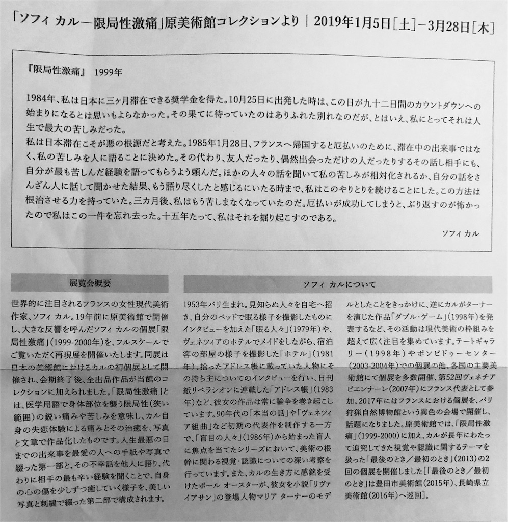 ソフィカル 限局性激痛 ソフィ カル 限局性激痛