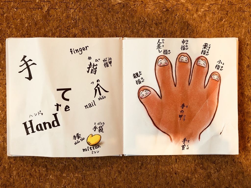 f:id:papapuppet:20190214202501j:plain f:id:papapuppet:20190214202501j:plain