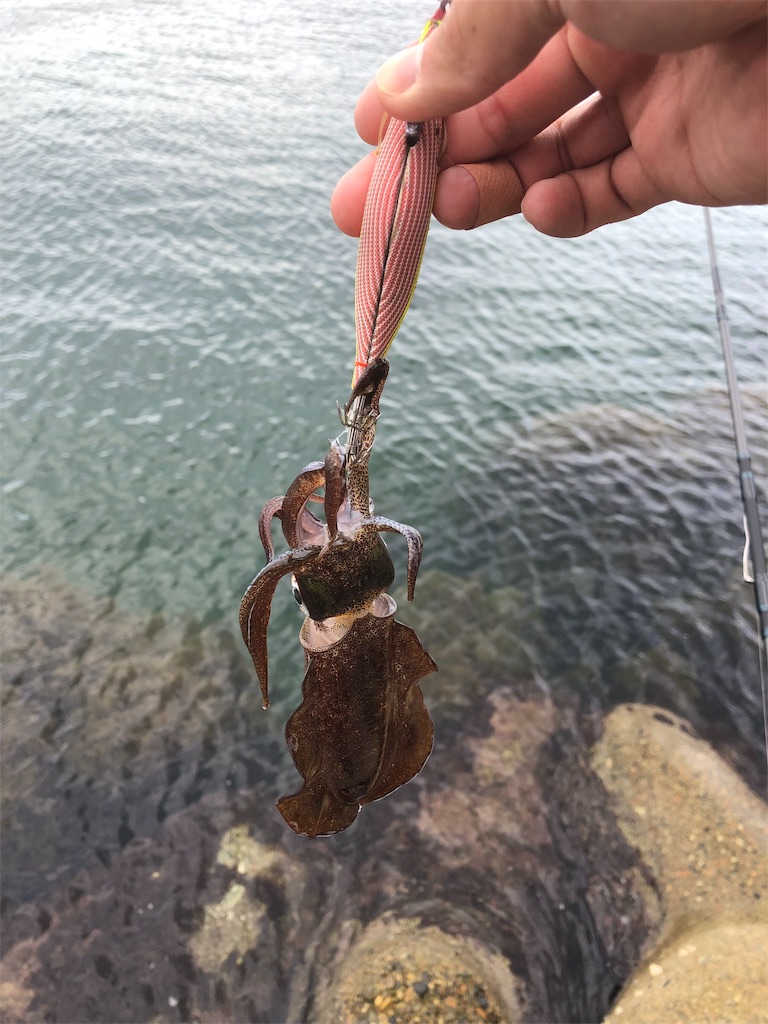 f:id:papatam93:20191003223916j:image