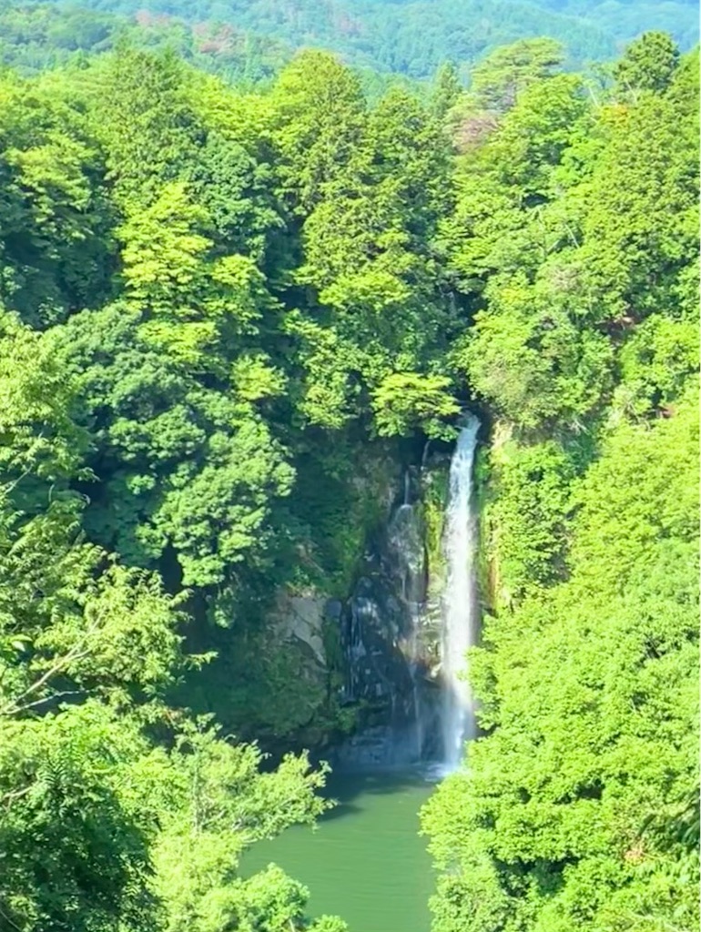 f:id:papayaman5:20260726091148j:image