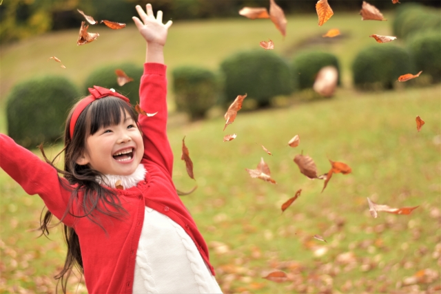 f:id:papayapapa:20170918102048j:plain f:id:papayapapa:20170918102048j:plain