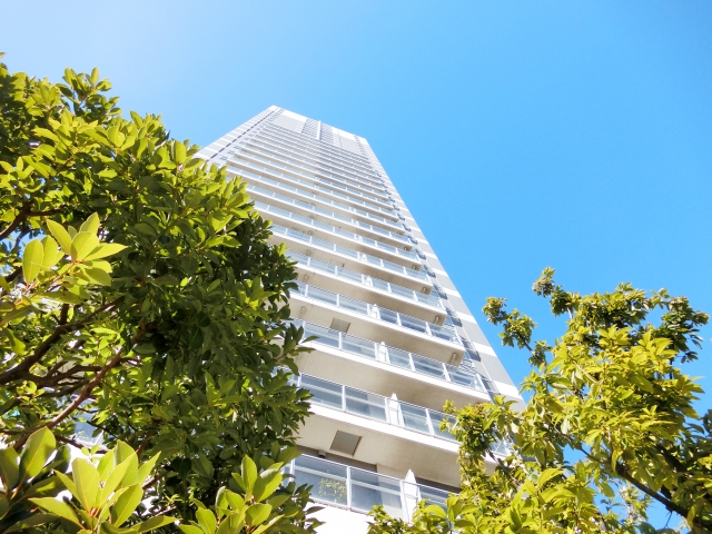 f:id:papayapapa:20171029113734j:plain