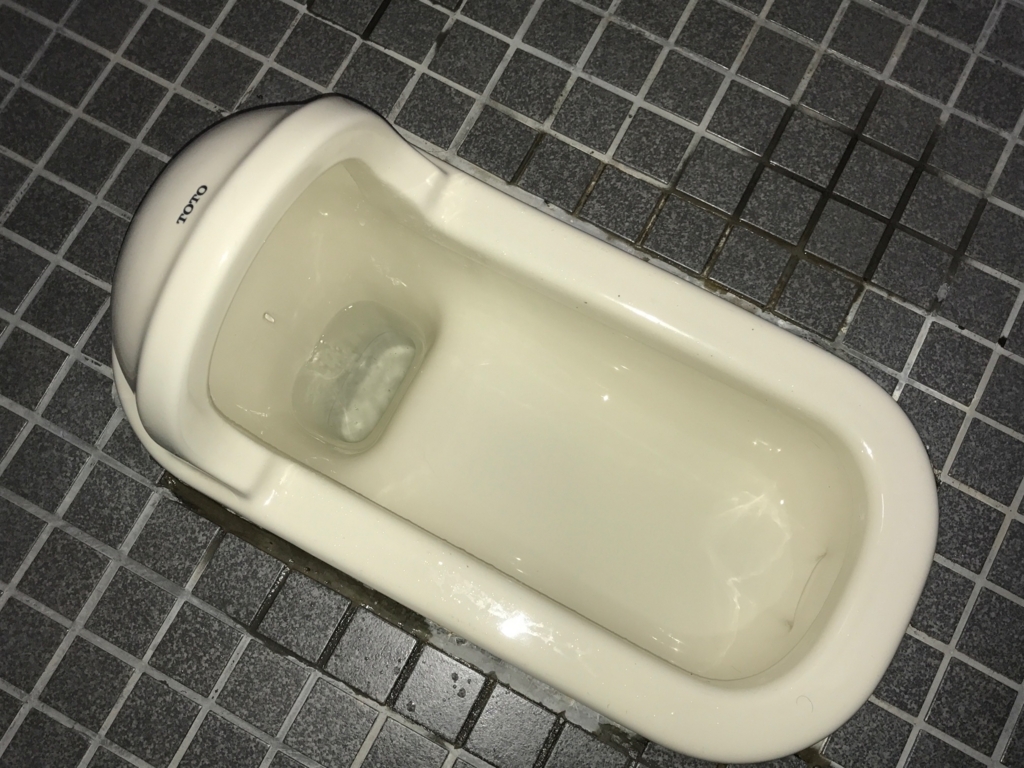 f:id:papayapapa:20180125113022j:plain