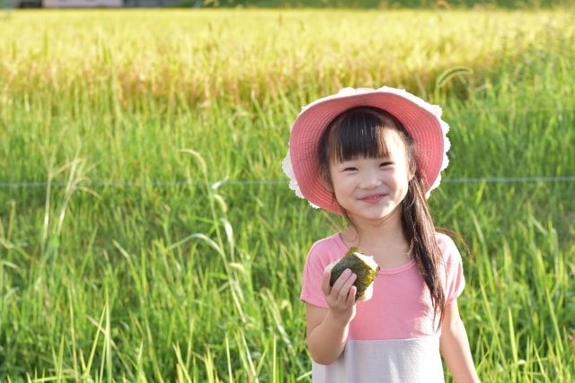 f:id:papayapapa:20180401111535j:plain f:id:papayapapa:20180401111535j:plain