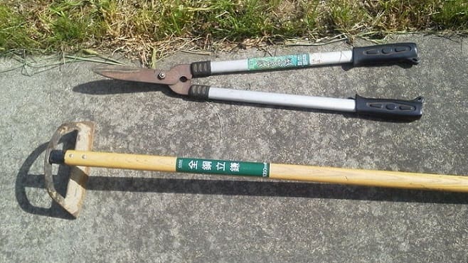 f:id:papayapapa:20180430123553j:plain