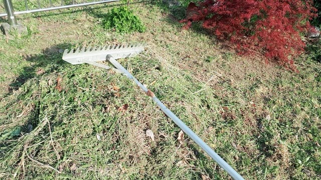 f:id:papayapapa:20180430123644j:plain