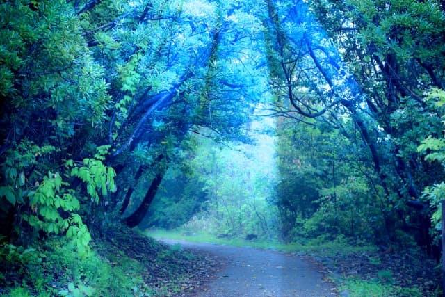 f:id:papayapapa:20180522200158j:plain