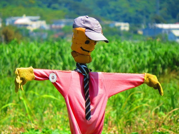 f:id:papayapapa:20180601112506j:plain