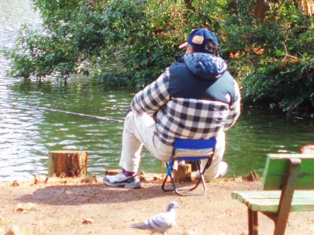 f:id:papayapapa:20180726221529j:plain