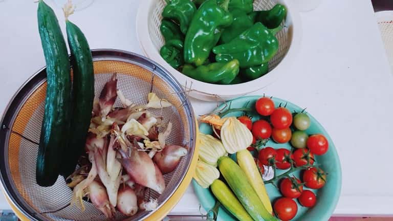 f:id:papayapapa:20180817092901j:plain