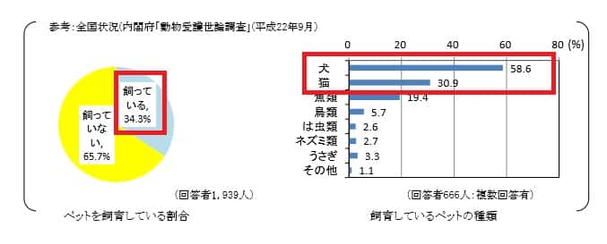 f:id:papayapapa:20190124153141j:plain f:id:papayapapa:20190124153141j:plain