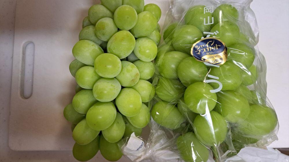 シャインマスカット