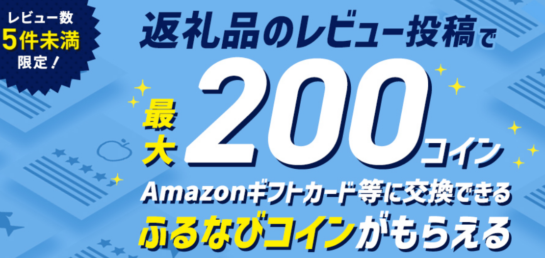 レビュー