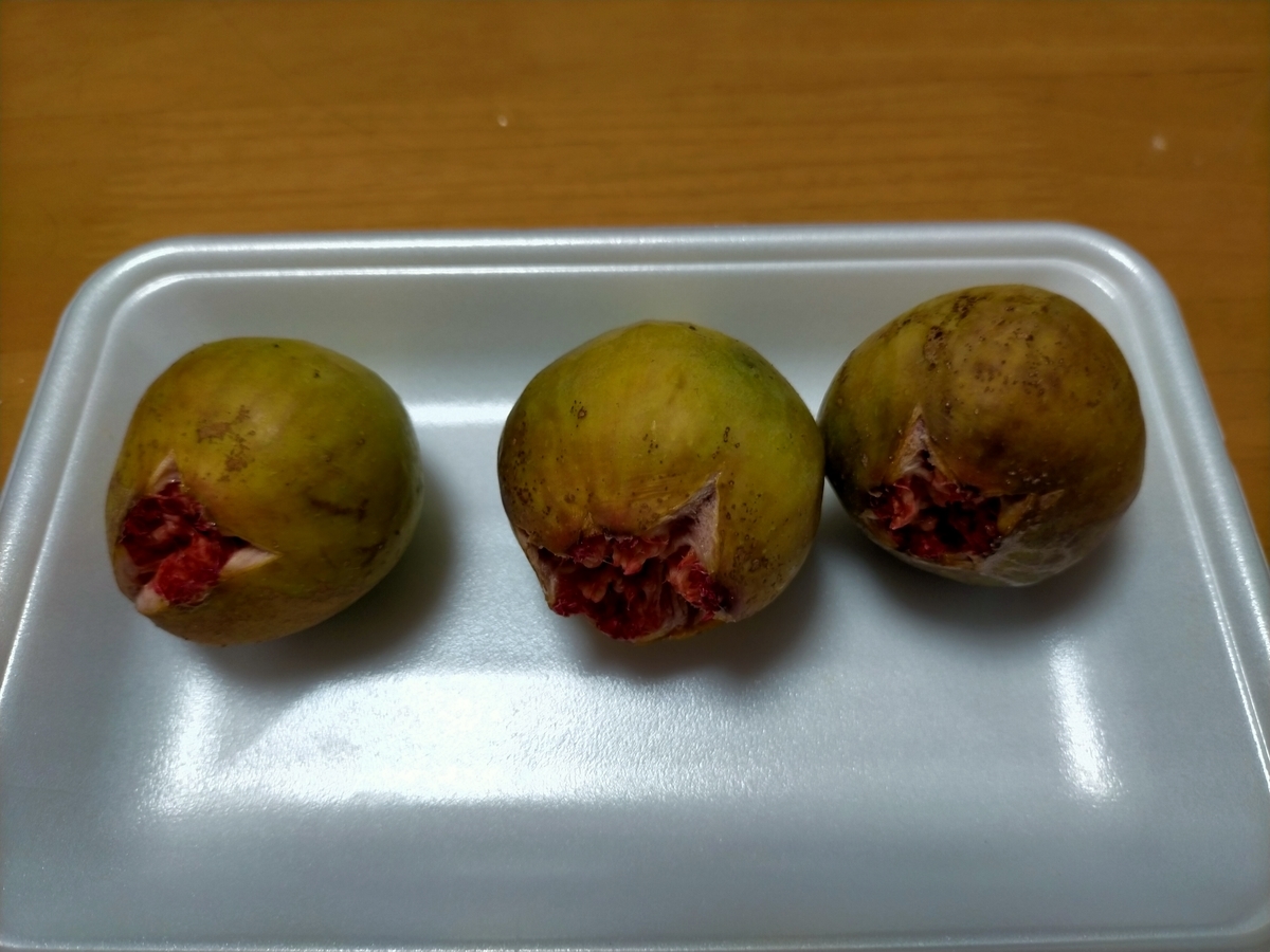 f:id:papibo:20201014100915j:plain f:id:papibo:20201014100915j:plain