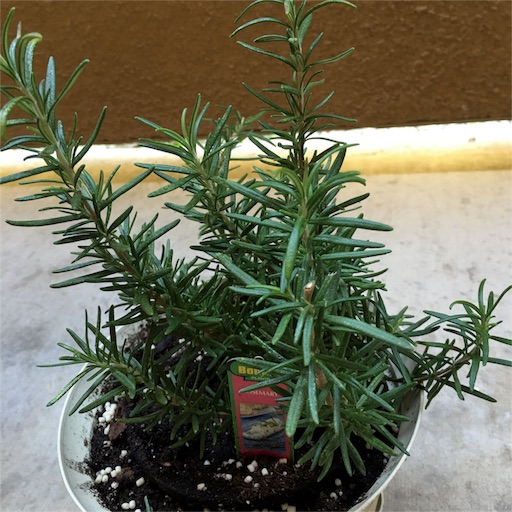 f:id:papiko8-l:20160629014107j:image