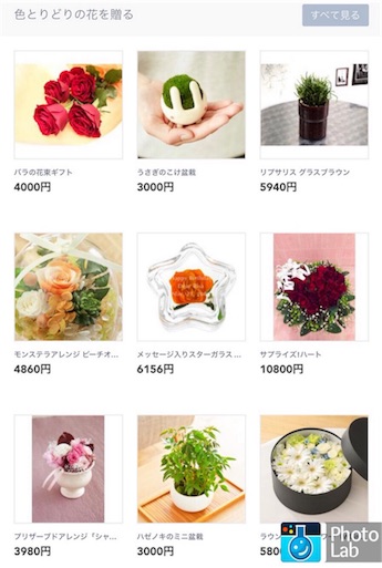 f:id:papiko8-l:20160630040145j:image